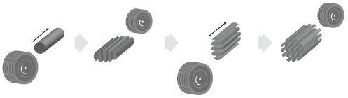 SEED CUTTING (2) SEED CUTTING (2)